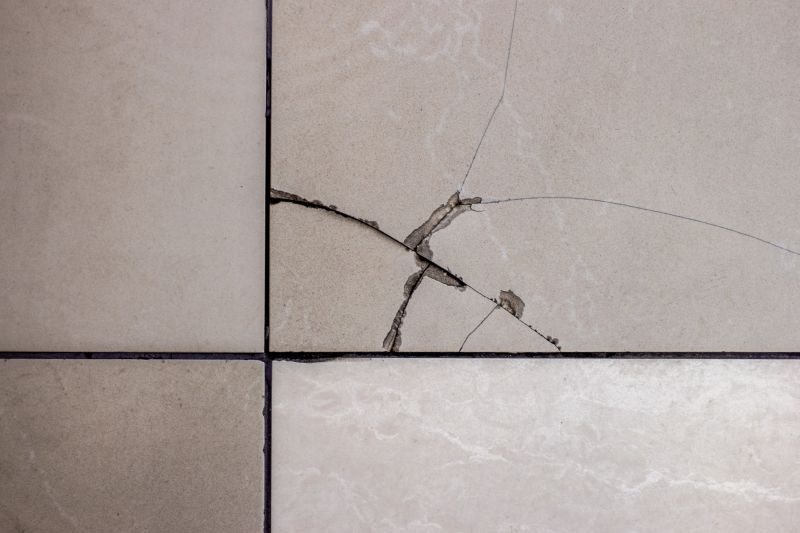 Tile Repair